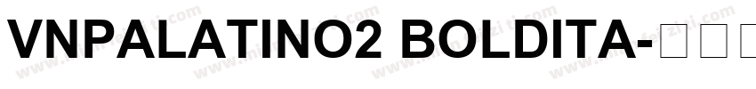 VnPalatino2 BoldIta字体转换